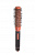 dw20195color.resize1